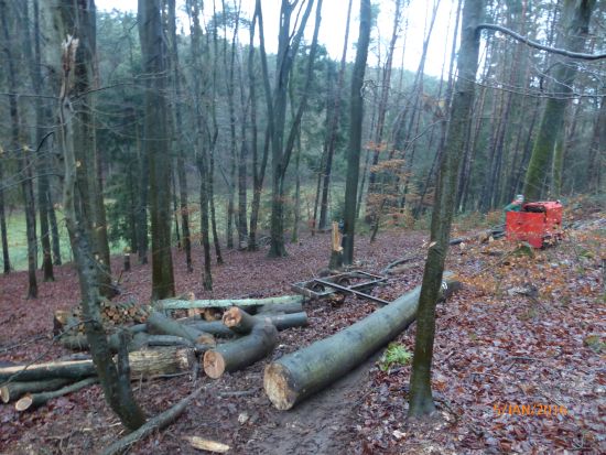 Hier der buchenstamm beim verladen
