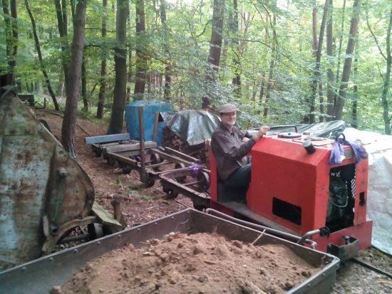 Dreiwagenzug im Wald