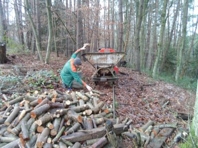 Das Holz wird verladen um es zum Spaltplatz zu fahren