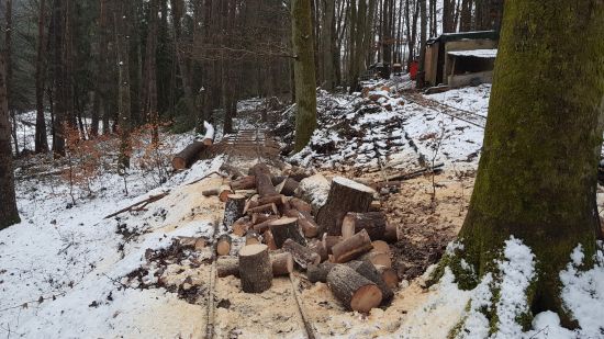holzimschnee.jpg