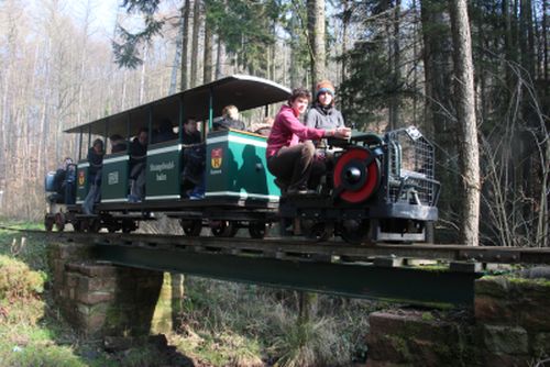Olizug im Stumpfwald