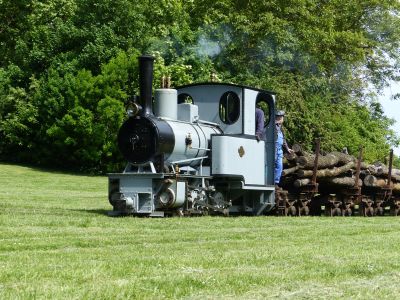 Ein wunderbarer Waldbahnzug
